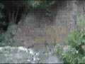videos de Hampstead heath and other parts of london