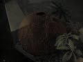 Hermit Crab ( Good or Bad )