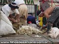 Diário de Um Fronteiriço