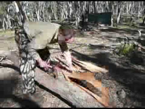 how to whiten birch bark