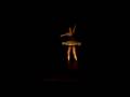 videos de Aline Kerber - Coppelia - formatura fundarte 2008