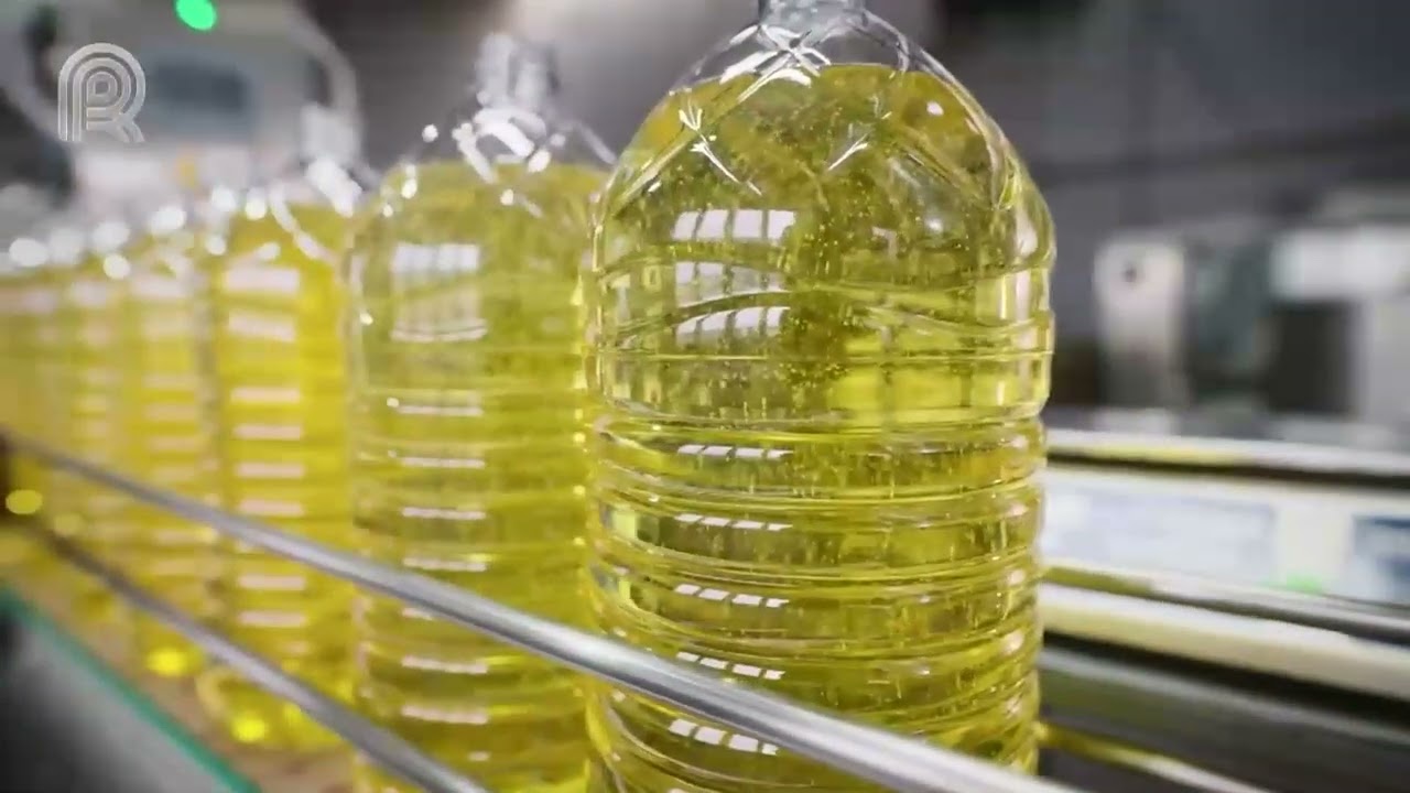 Resumo da Semana | Preço do milho no Brasil atinge maior valor do ano