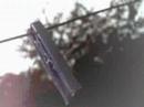 clip video Debout Sur Le Zinc De Fil En Aiguilles