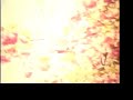 Japanther- Divorce Video