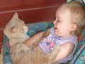Crazy Cat - Super Chicken Crazy Cat - Super Chicken