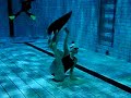 free diving monofin games