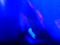 london after midnight-your best nightmare-felling facist london after midnight-your best nightmare-felling facist