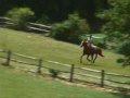 Dolly & Me XC
