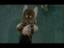 Saw V mashup Saw V mashup