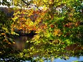 armpit-of-america-slide-show.html