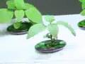 AeroGarden-Internati