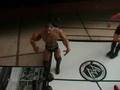 videos de battle royal