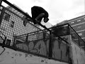 freerun-team-evolution-le-parkour-wwwzonagraffitiscom.html