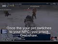FFXI Clash of the Comrades BST/NIN fight
