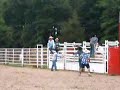 Will Brunke on Tiger Will Brunke on Tiger