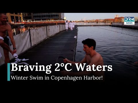 Nuoto invernale nel porto di Copenaghen: una sfida gelida! | Notizie DRM Nuoto invernale nel porto di Copenaghen: una sfida gelida! | Notizie DRM