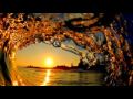 Colors of the Wind.mpg