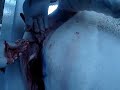 OPERACION CABALLO