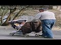 Raw Video   Gustav Damage In Houma, Lou. .mov