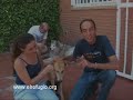 2007 un paso adelante en la proteccion animal en Espa�a.