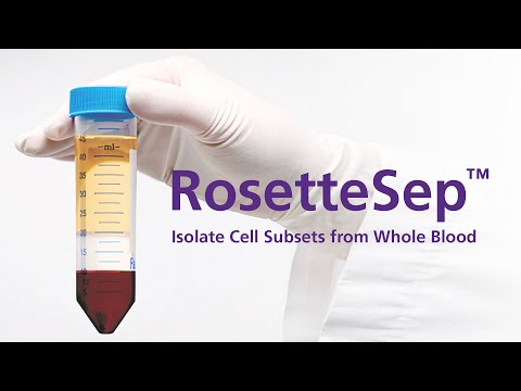 how to isolate lymphocytes from whole blood