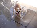 Elway vs. the water