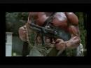 Arnold Schwarzenegger Tribute