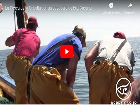 La Pesca de la Caballa por un pesquero de Isla Cristina