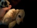 Doyel Says Hi To Susie