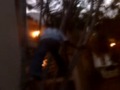 boy climb tree