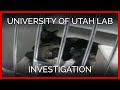 University of Utah Lab Undercover Investigation