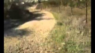 فيلم بلدة الصفصاف ، تصوير خاص بموقع الصفصاف