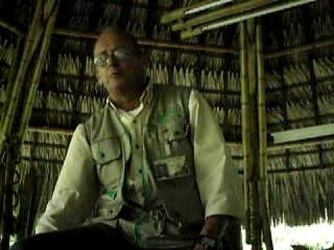 guadua - El Director del Centro de estudios para la guadua-Bambu, Jairo Jimenes Restrepo, enseña a Gerardo Posada, A Mauro Suarez y A Wilson Ancizar Galviz el Manejo ...
