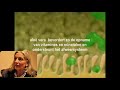 Ervaringen en interviews Aloe Vera dranken / produkten van Forevever Living Products FLP Nederland