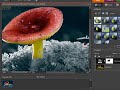 Adobe Photoshop Elements 7: The Smart Brush tool Adobe Photoshop Elements 7: The Smart Brush tool