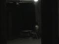 videos de Pizza