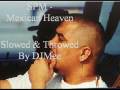 videos de SPM - Mexican Heaven (Slowed & Throwed by DJMee)