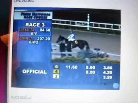 grand national results