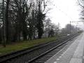 toeterende virm in veenendaal de klomp
