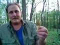 Morel Mushrooms in s.e. MN.  Part 2