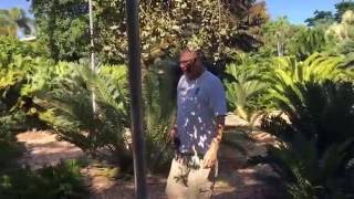Tour Guide at Fairchild's Tropical Botanical Garden Miami , FL