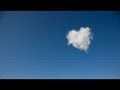 Search Video