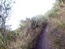 kdx 220 trail riding on board camera - free flv video @ vwatch.tv