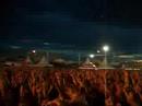 Festival Crowd