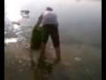 videos de robert et la poubelle
