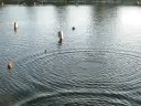 The Aliens have come to bomb us as you see in the lake!!