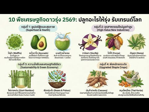 10 พืชเศรษฐกิจดาวรุ่งปี 2569 ทางเลือกใหม่เกษตรกรไทย