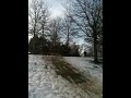 BÄMZ + dämliche Lache