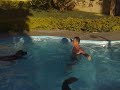 12122009020.mp4