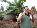 acertando Três Tiros em Sequência usando espelho